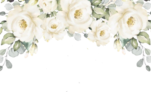 flores (2)