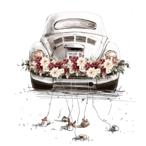 carro boda