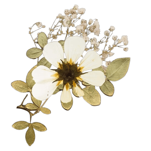 flor (1)