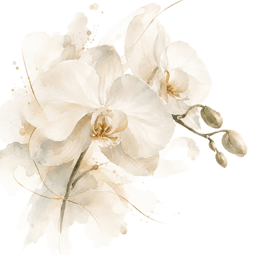 bodas (17)
